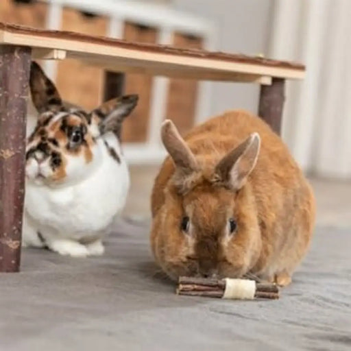 Toy for Rodents Trixie Wood Marine algae 10 × 3 CM (2 Units) - Домашни Животни<<<Дом