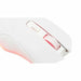 Trackball The G-Lab - Електроника Периферни и резервни части<<<Компютри| Електроника<<<BigBuy&&&Мишки &