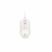 Trackball The G-Lab - Електроника Периферни и резервни части<<<Компютри| Електроника<<<BigBuy&&&Мишки &