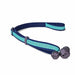 Training toy Coachi Bells Blue - Домашни Животни<<<Дом Градина<<<BigBuy&&&Играчки<<<Домашни Животни<<<Дом