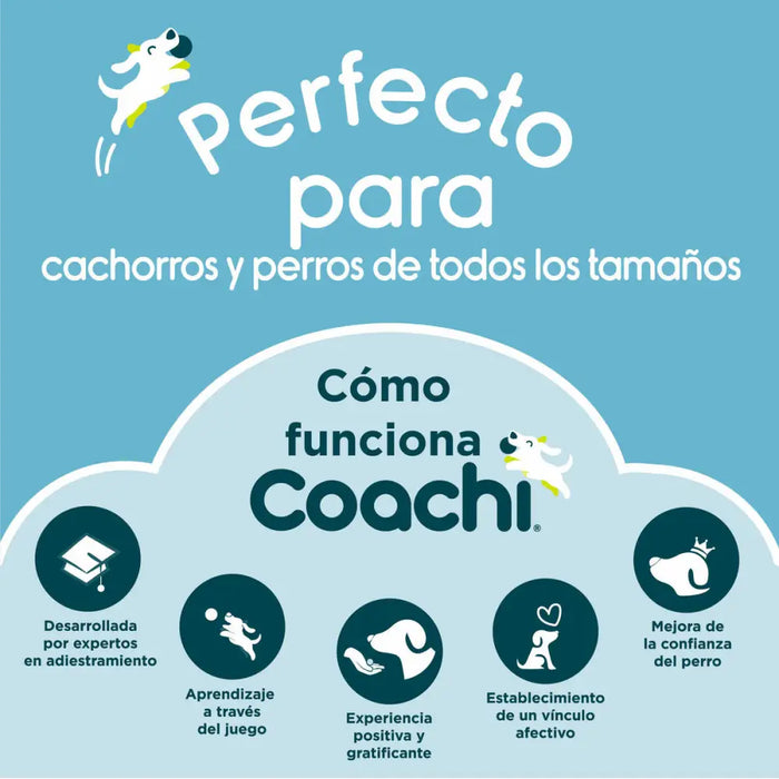 Training toy Coachi Bells Blue - Домашни Животни<<<Дом Градина<<<BigBuy&&&Играчки<<<Домашни Животни<<<Дом
