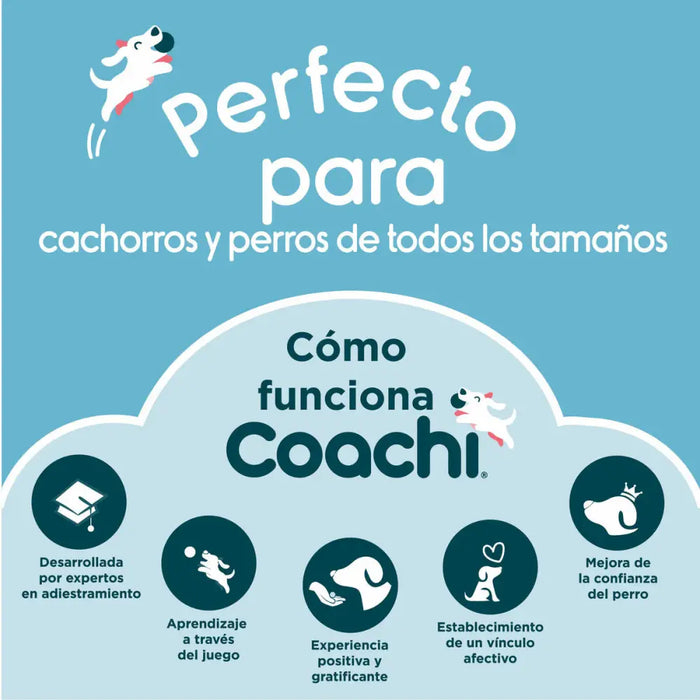 Training toy Coachi Blue - Домашни Животни<<<Дом Градина<<<BigBuy&&&Играчки<<<Домашни Животни<<<Дом Градина<<<BigBuy