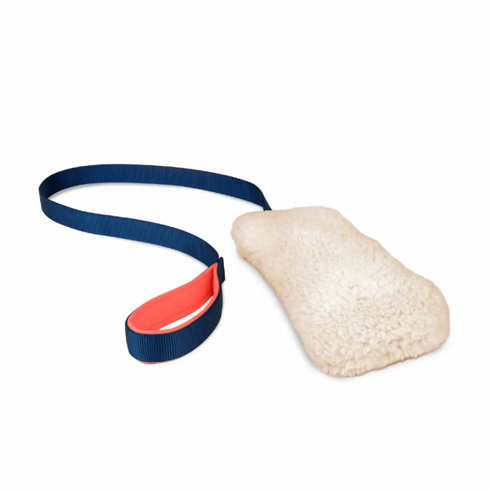 Training toy Coachi CHASE & CRINKLE Blue - Домашни Животни<<<Дом Градина<<<BigBuy&&&Играчки<<<Домашни Животни<<<Дом