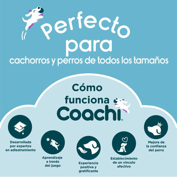 Training toy Coachi TUGGI HIDE Blue - Домашни Животни<<<Дом Градина<<<BigBuy&&&Играчки<<<Домашни Животни<<<Дом
