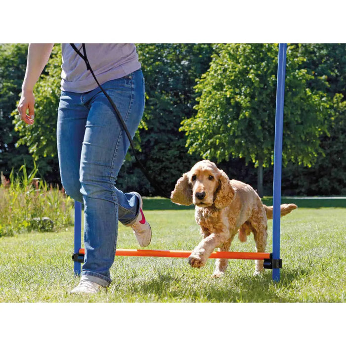 Training toy Trixie - Домашни Животни<<<Дом Градина<<<BigBuy&&&Здраве и хигиена<<<Домашни Животни<<<Дом Градина<<<BigBuy