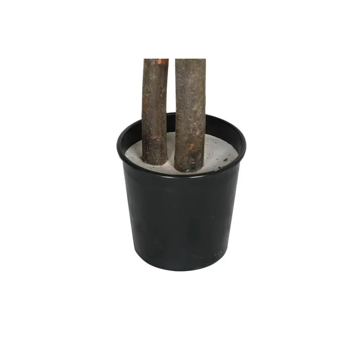 Tree Home ESPRIT Polyester Wood 100 x 100 x 185 cm - Декорация и Осветление<<<Дом Градина<<<BigBuy&&&Други артикули за