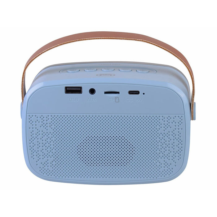 Speaker with Karaoke Microphone Trevi Trevi XR 8A01 MINI PARTY