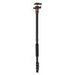 Tripod K&F Concept K254A3 + BH-28L - Tripods<<<Mounts<<<Tripods<<<Selfie Sticks<<<Booms<<<Photo and cameras<<<InnproXML