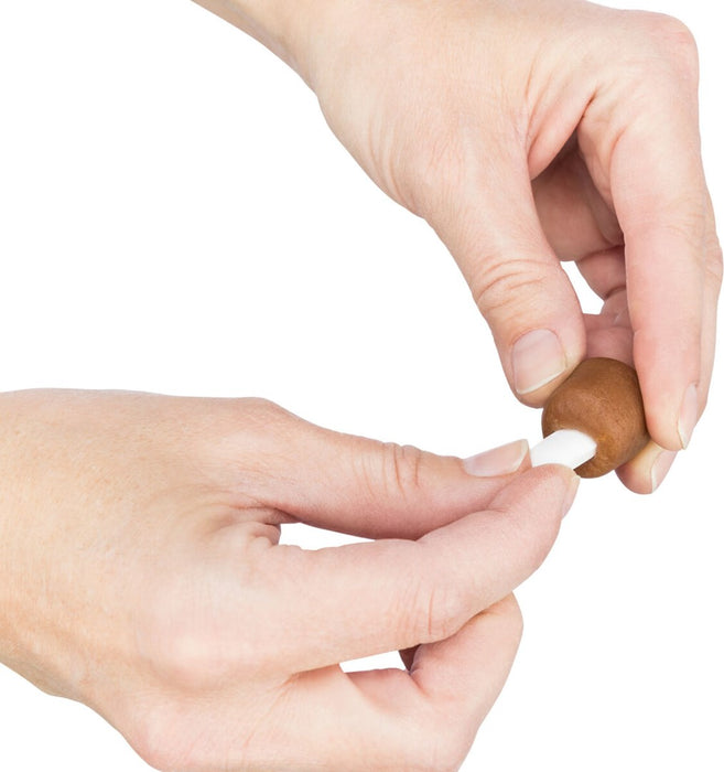 TRIXIE 25841 - Dog treat - 100 g