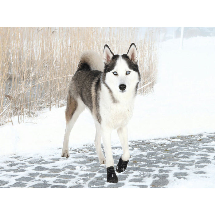 Boots Trixie Black L/XL