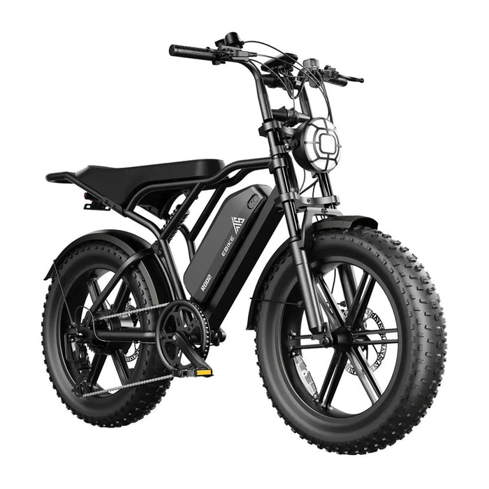 Electric bicycle TST R002 PLUS FAT BK 250 W, UP TO 25 KM/H, MILEAGE UP TO 150 KM, 20.00 "