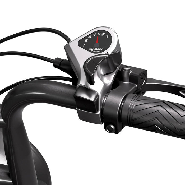 Electric bicycle TST R002 PLUS FAT BK 250 W, UP TO 25 KM/H, MILEAGE UP TO 150 KM, 20.00 "