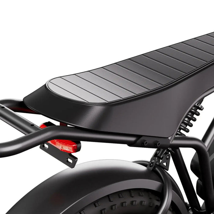 Electric bicycle TST R002 BASIC FAT BK 250 W, UP TO 25 KM/H, MILEAGE UP TO 100 KM, 20.00 "