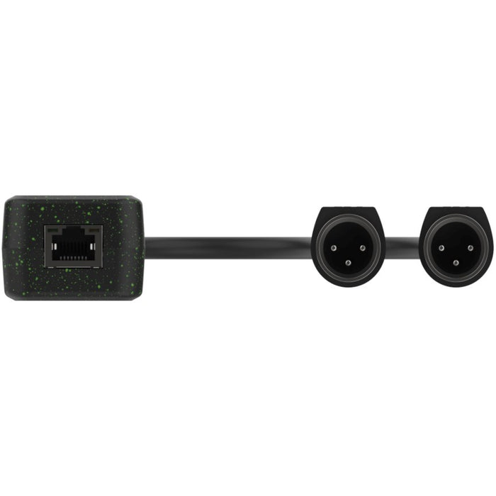Turtle Dual XLR Output - two-channel Dante digital-to-analogue XLR adapter