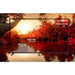 TV AXEN AX55UAL402 55’’ (139 cm) 4K Ultra HD Android - 4K телевизори<<<Телевизори<<<Черна техника и