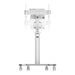 TV Mount Neomounts FL50S-825WH1 70 Kg - Електроника Телевизори<<<Компютри| Електроника<<<BigBuy&&&Поставки за