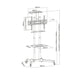 TV Mount TM Electron 37’’-70’’ 50 kg - Електроника Телевизори<<<Компютри| Електроника<<<BigBuy&&&Поставки за