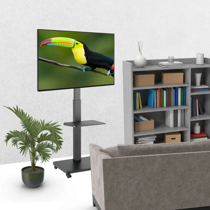 TV Mount TM Electron 40 kg - Електроника Телевизори<<<Компютри| Електроника<<<BigBuy&&&Поставки за