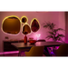Twinkly Dots 60 RGB USB 3 m smart lights - Christmas tree lightsOSW-OLC<<<LightingOSW<<<ActionPL