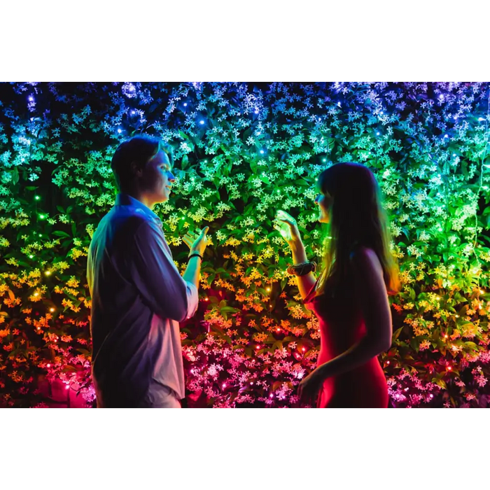 TWINKLY Strings 100 (TWS100STP-BEU) Smart Christmas tree lights 100 LED RGB 8 m - Christmas tree