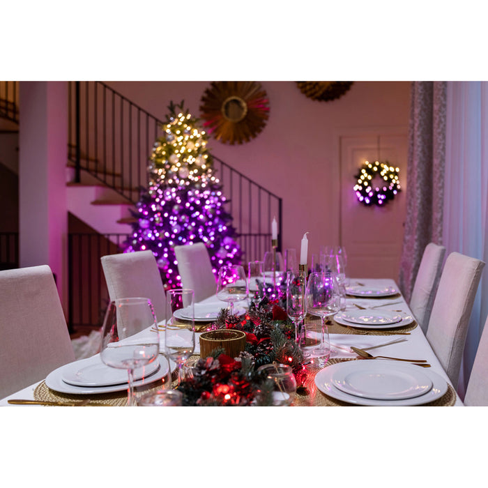 CHRISTMAS LIGHTING STRING 200CM 250LED TWINKLY TWS250STP-BEU