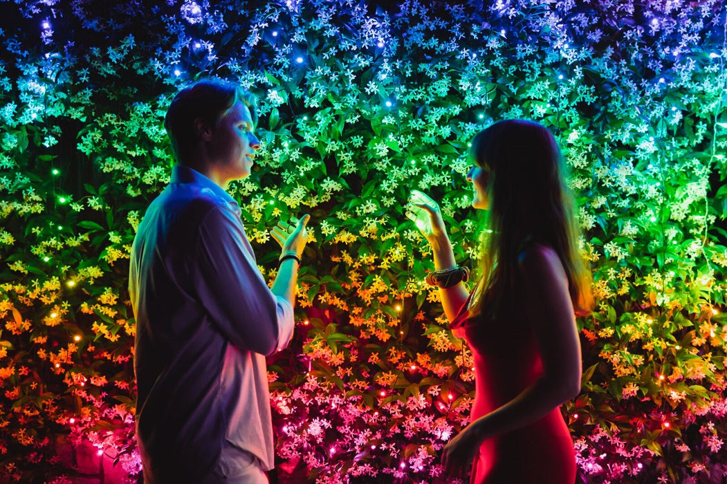 TWINKLY Strings 600 (TWS600STP-BEU) Smart Christmas tree lights 600 LED RGB 48 m