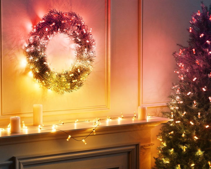 LIGHTING GARLAND 600CM 100LED TWINKLY TWKC100RGB-G