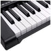 V-TONE VK 100-61 - keyboard for children to learn to play
