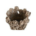 Vase Home ESPRIT Grey Cement Tulip 29 x 27 x 32 cm - Декорация и Осветление<<<Дом Градина<<<BigBuy&&&Украса за средата