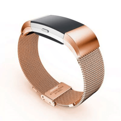 Stainless steel Fitbit / Fitbit Charge 2