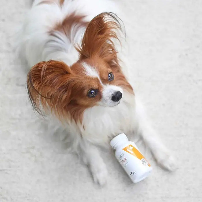 VET EXPERT Immune System - immune support preparation for dogs and cats - 30 caps. - Universal medicinal preparations