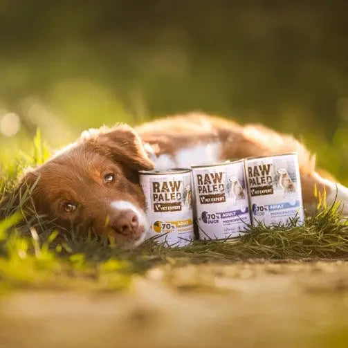 VET EXPERT Raw Paleo Adult Monoprotein Cod - wet dog food - 400 g - Wet foodDLP-KAM<<<For the dogDLP<<<ActionPL