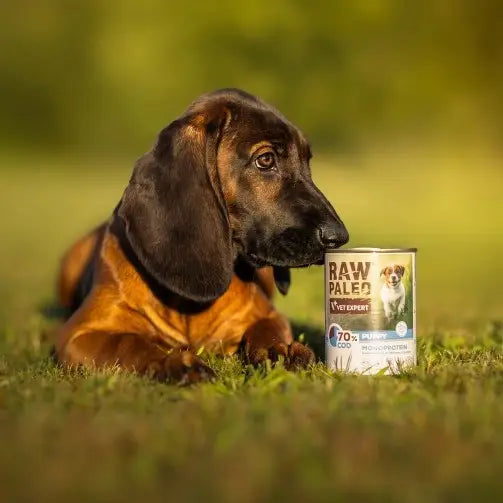VET EXPERT Raw Paleo Adult Monoprotein Cod - wet dog food - 400 g - Wet foodDLP-KAM<<<For the dogDLP<<<ActionPL