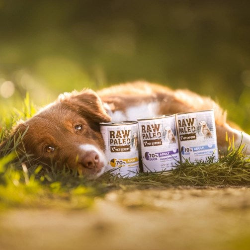 VETEXPERT Raw Paleo Adult Monoprotein Turkey - wet dog food - 400 g