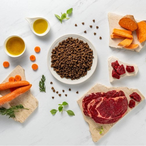VETEXPERT Raw Paleo Ultra Medium&Large Puppy Beef - dry food for puppies - 2 kg