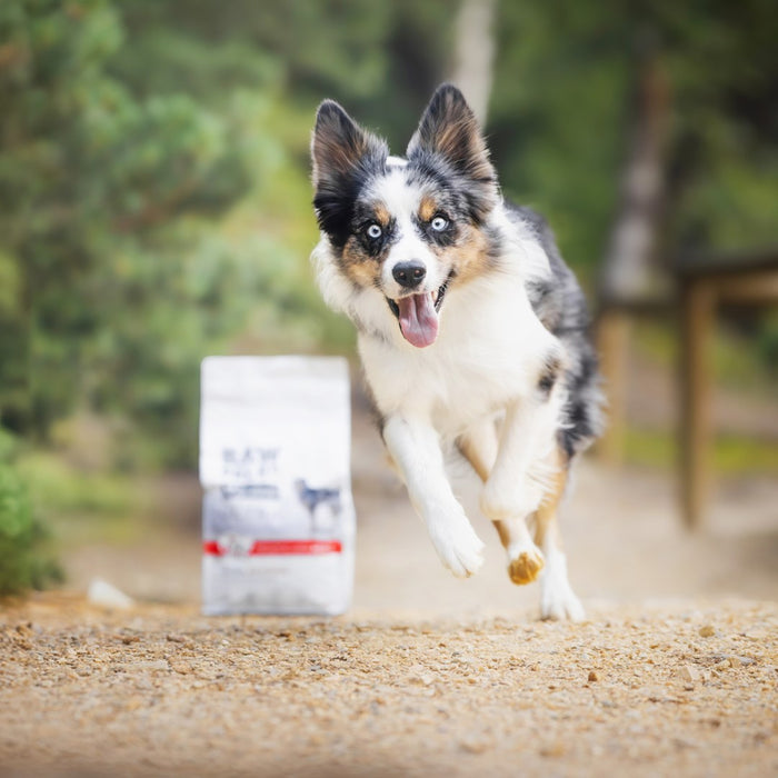 VETEXPERT Raw Paleo Ultra Medium&Large Puppy Beef - dry food for puppies - 2 kg