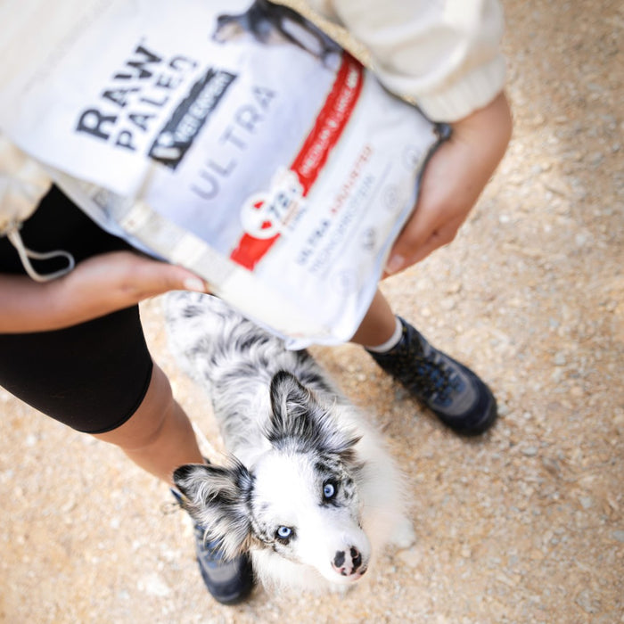 VETEXPERT Raw Paleo Ultra Medium&Large Puppy Beef - dry food for puppies - 2 kg