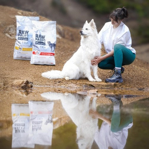 VETEXPERT Raw Paleo Ultra Medium&Large Adult Turkey - dry dog food - 10 kg