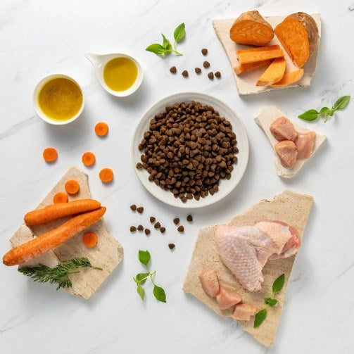 VETEXPERT Raw Paleo Ultra Medium&Large Adult Turkey - dry dog food - 2 kg