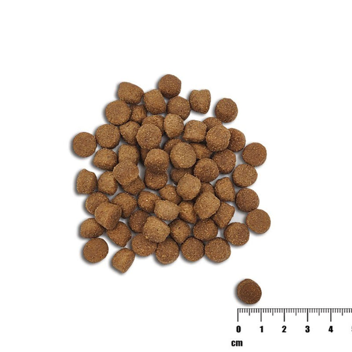 VETEXPERT Raw Paleo Healthy Grain Puppy Salmon and barley - dry dog food - 2 kg