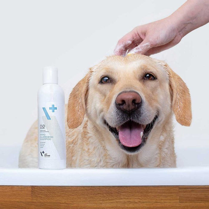 VETEXPERT Hypoallergenic Shampoo - shampoo for dogs and cats - 250ml