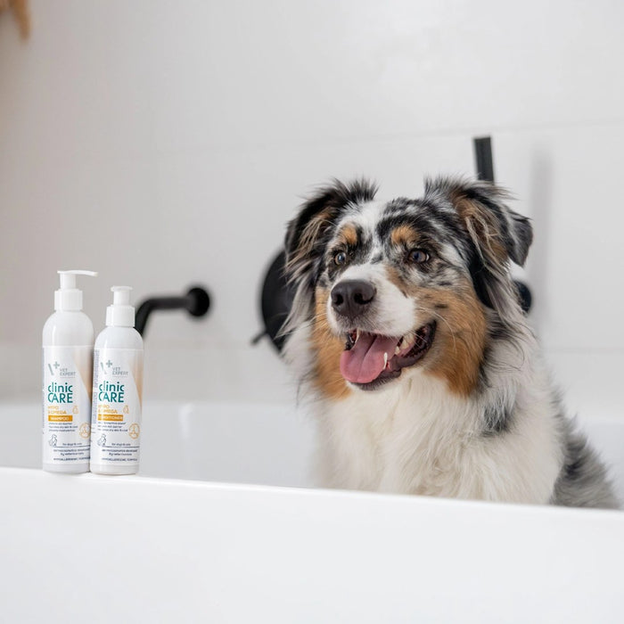 VETEXPERT Clinic Care Hypo & Omega - shampoo for dogs and cats - 250 ml
