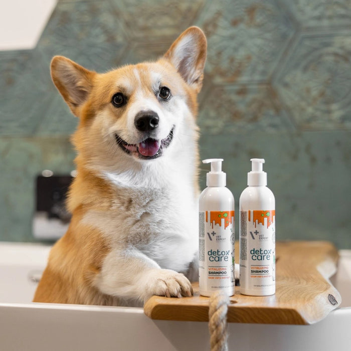 VETEXPERT Detox Care Vitalizing Conditioner - conditioner for dogs and cats - 150 ml