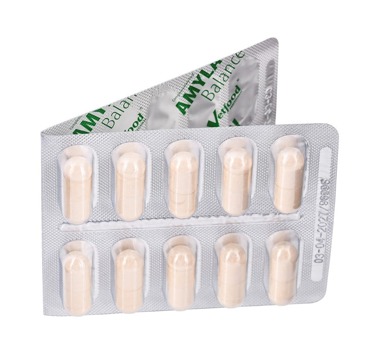 VETFOOD Amylactiv Balance - supplements for dogs and cats - 60pcs