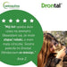 VETOQUINOL Drontal - anti-parasite tablets for cats - 2 pcs. - Supplements and medicated preparations
