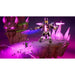 Video game for Switch Just For Games LEGO PARTY! - Електроника Игри<<<Компютри| Електроника<<<BigBuy&&&Видео