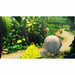 Video game for Switch Nintendo Donkey Kong Country Returns HD - Електроника Игри<<<Компютри|