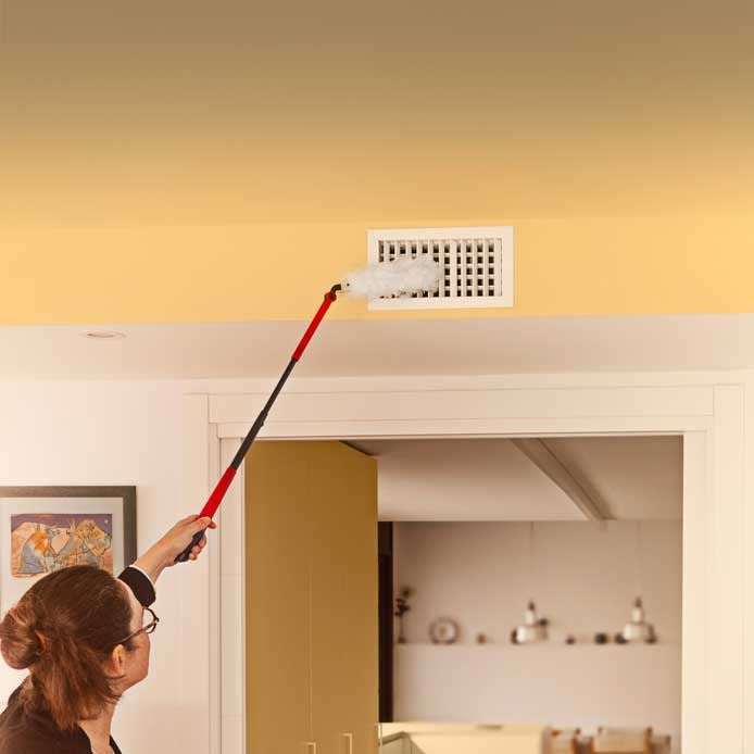 Vileda dustpan with long handle + 1 Flex&Catch refill