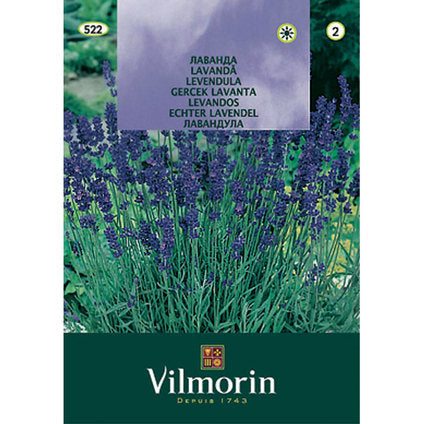 VILMORIN LAVENDER SEEDS - Семена<<<Семена луковици и разсад<<<Градина<<<Praktiker
