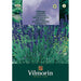 VILMORIN LAVENDER SEEDS - Семена<<<Семена луковици и разсад<<<Градина<<<Praktiker